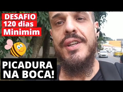 DEU RUIM, PICADA DE ABELHA NA BOCA!!!| DIA 42 de 120 DESAFIO MINIMIM (DESISTIR?)