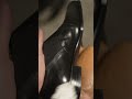 Polishing Black Shoes