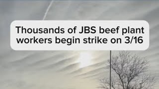 Thousands of JBS beef plant workers begin strike Net Worth