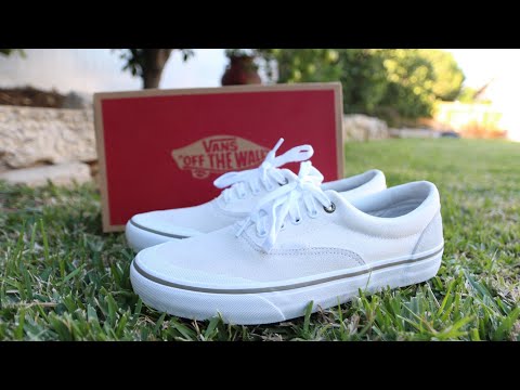 vans authentic pro dakota roche