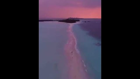 Silence isn’t empty  It’s full of answers