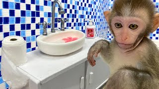 Baby monkey Bim Bim go to the toilet and playing with the puppy and baby ducklings