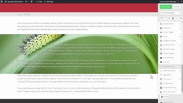 How to Use Page Sections in Thrive Content Builder