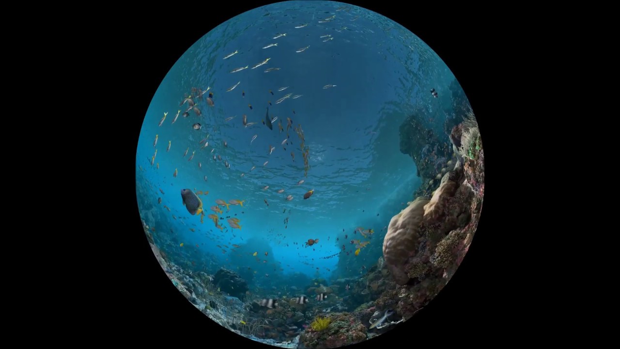 Trailer the Secrets of the Abyss | The Science Dome
