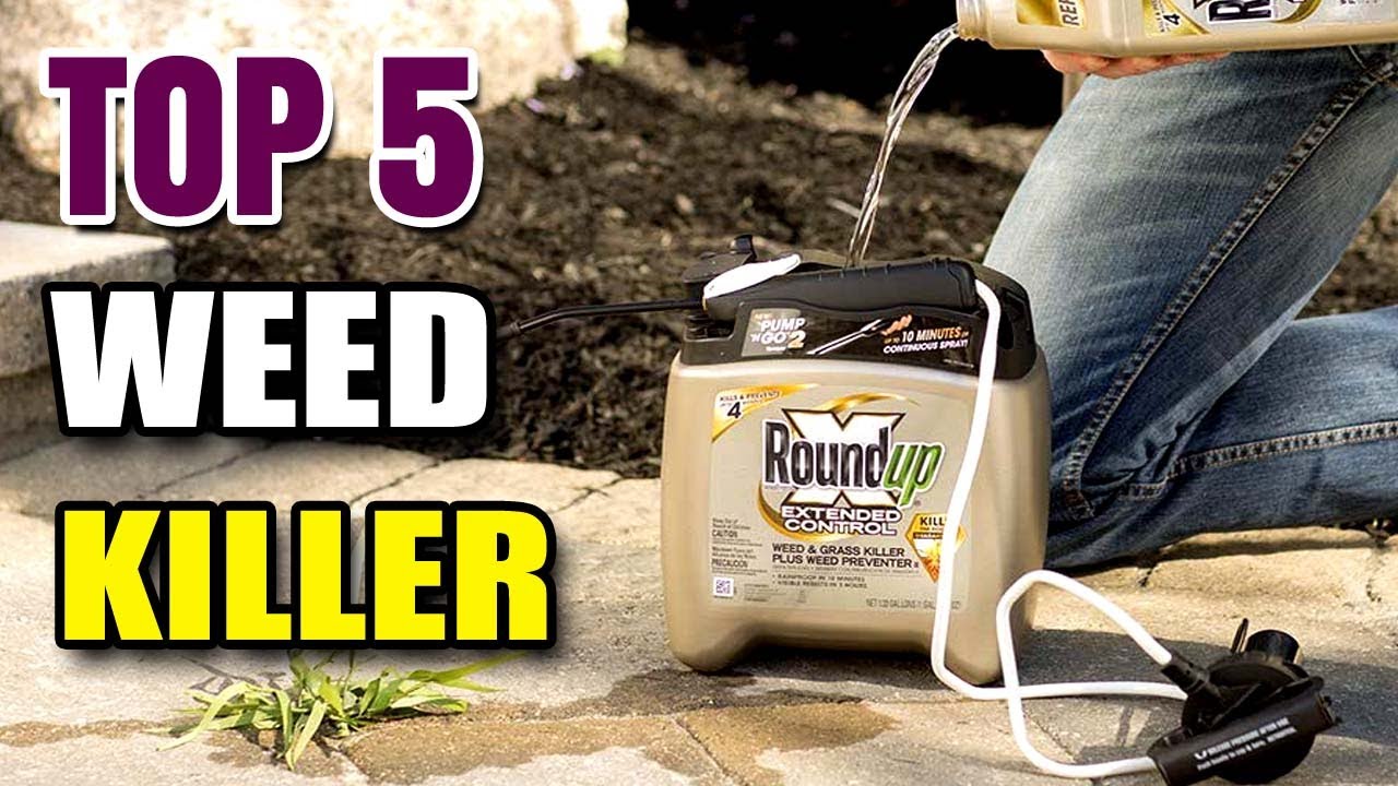 Best Weed Killer For Gravel YouTube