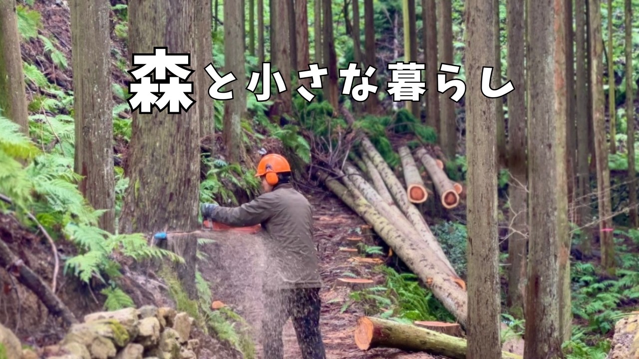 69 A Day of Working and Living in the Forest | Rain & Forest