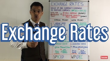 Exchange Rate Impacts