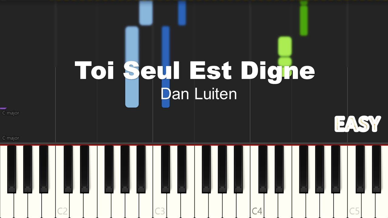 TOI SEUL EST DIGNE Dan Luiten  