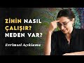 Zihninizin Nasıl Çalıştığını Biliyor musunuz? Biyolojiden Psikolojiye...