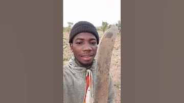 Biti The Yam Farmer 