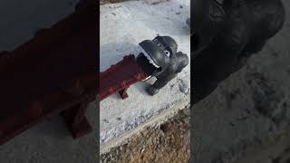 ١٦ فبراير ٢٠٢٦