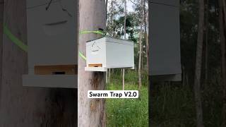 It’s a bee(r) trap.