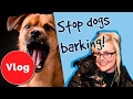 How to Stop Your Dog Barking! How to Stop Your Dog Barking!