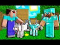 Minecraft NOOB vs PRO: HOW NOOB AND PRO GOT DOGS IN VILLAGE! 100% TROLLING PET CAT TRAINING