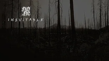 NONE - Inevitable [Full Album] (Depressive Black Metal)