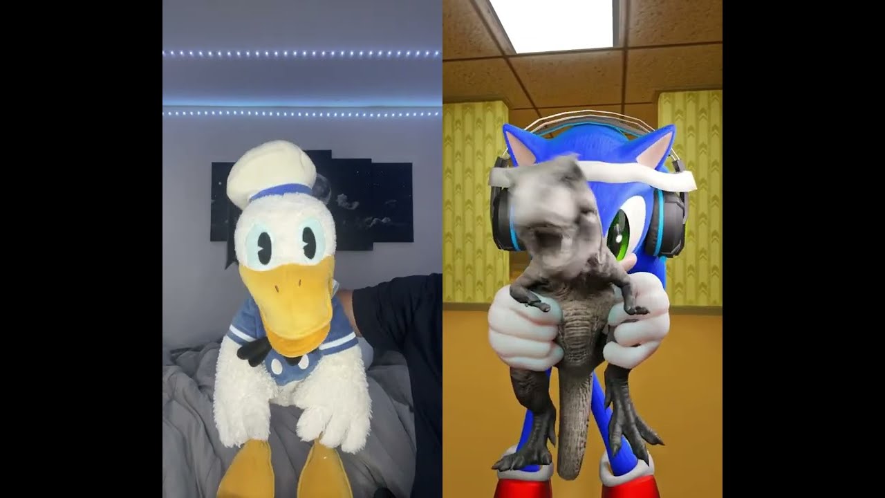 Donald Ducc Thinks Sonic Is Actually Funny