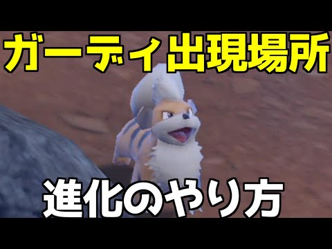 ポケモンsv ガーディの種族値 わざ 特性など基本情報まとめ スカーレット バイオレット 攻略大百科