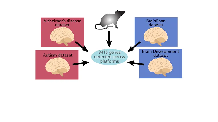 Microglial developmental index reveals sex differences in maturation and immune reactivity
