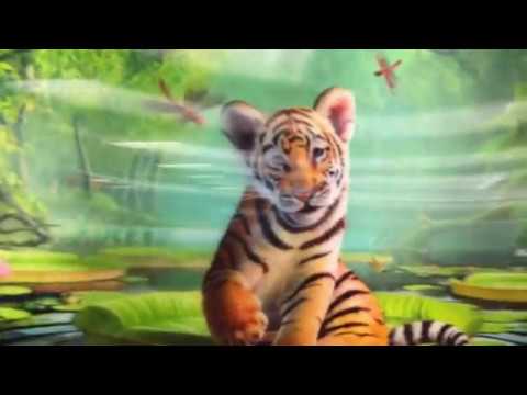 rescue dogs rock nyc 3D BIG CATS