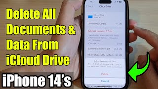 iPhone 14/14 Pro Max: How to Delete All Documents & Data From iCloud Drive