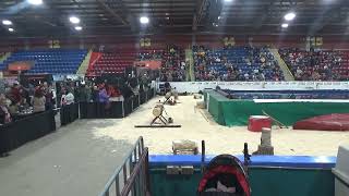 Scott's Timber Show 1 of 3