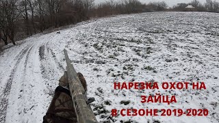 ОХОТА НА ЗАЙЦА. НАРЕЗКА ОХОТ НА ЗАЙЦА 2019-2020