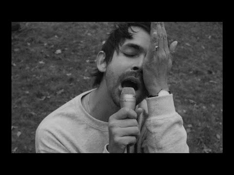 gatherers - gift horse (featuring geoff rickly) (official music video)