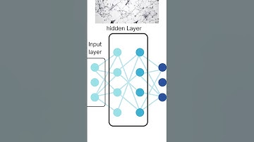 How Neural Networks Really Work (Explained Visually)