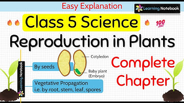 Voortplanting bij planten (volledig hoofdstuk)