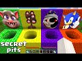 CHOOSE THE RIGHT ROUND PIT SONIK TALKING TOM MEGA SIREN HEAD SUN AND MOON SCP IN MINECRAFT ANIMATION