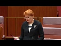 Pauline Hanson Responds to George Brandis' Burqa Attack