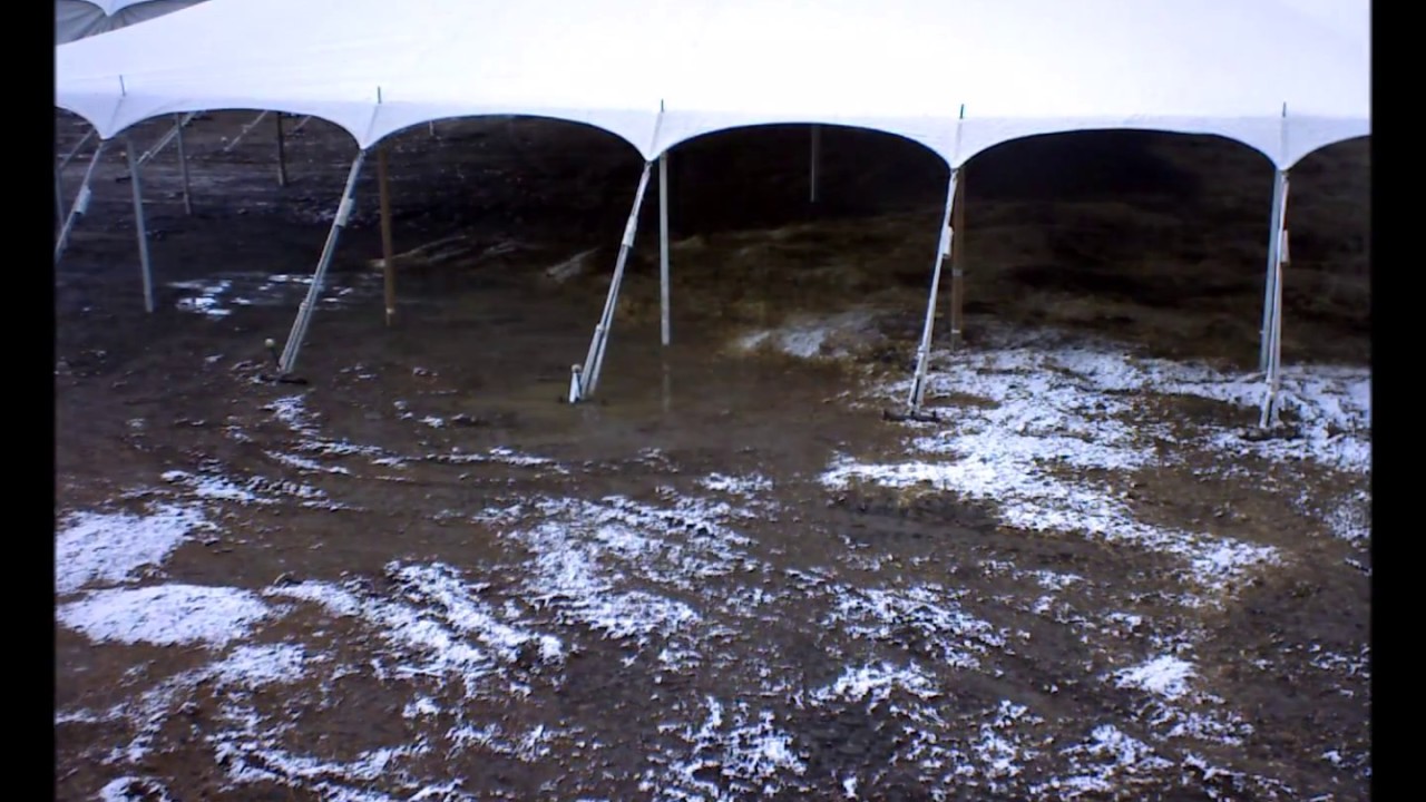 Salmon Select Horse & Mule Sale part1 The Big Tents Go Up!! YouTube