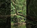 Beauty of nature #azubilife #germany #kenyatogermany