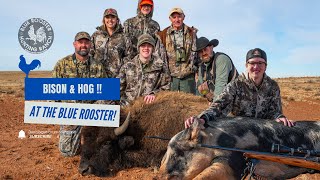 Family Hunt at the Blue Rooster