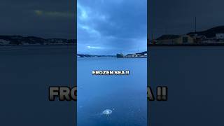 How much did you get? ❄️🌨️ #denmark #shorts #shortsfeed #snow