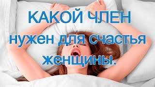 Каким Должен Быть Пенис Фото