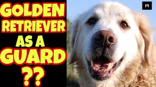 Golden retriever as a guard dog in Hindi | Best guard dog series | Petsinfomania by PetsInfomania (PI) 1,718 views 1 year ago 2 minutes, 53 seconds