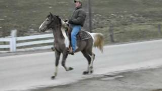 CIMG0371.AVI