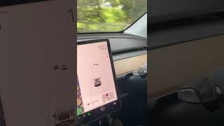 #tesla #viralvideo #irish #arabic