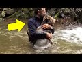 Esta Mamãe Urso implora ao Homem que Ajude a Salvar seus Filhotes se afogando