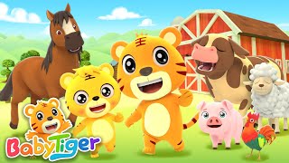 On The Farm | Farm Animal Songs | Learn Animals | Nursery Rhymes | Kids Songs - BabyTiger’s Family