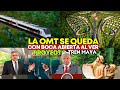 Mire!La Organización Mundial del Turismo se Queda sin palabras al ver el Gran Proyecto TREN MAYA.