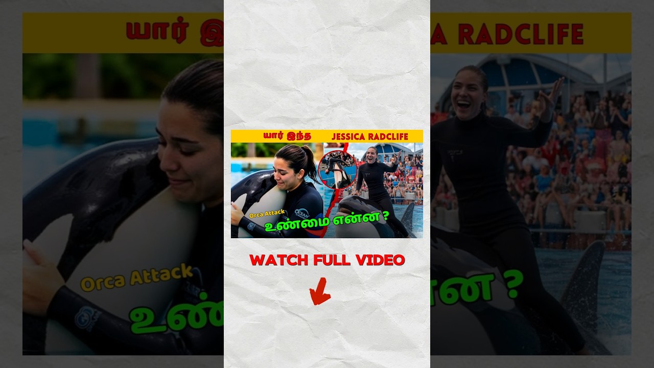 🥹 யார் இ‌ந்த Jessica Radcliffe | 👀 Orca Attack Tamil