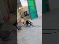 this is not AI