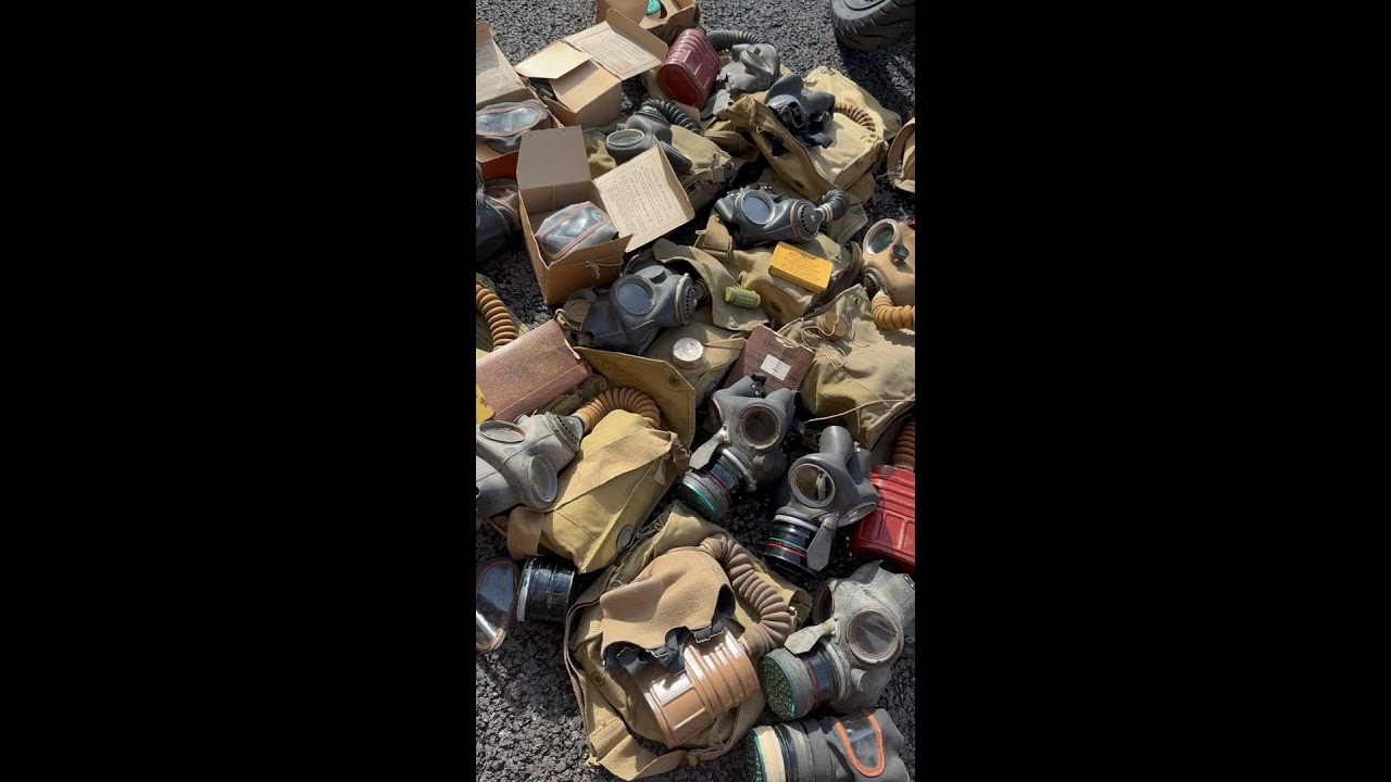 Collection of Original WW2 British Army, Home Front & Civilian Gas Masks  - The Militaria Shop