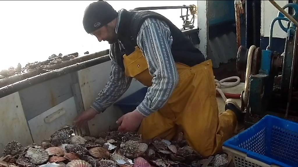 Portrait de Pierrick LE ROUX, patron de l'Hippocampe, dragueur coquillier de Saint-Quay-Portrieux