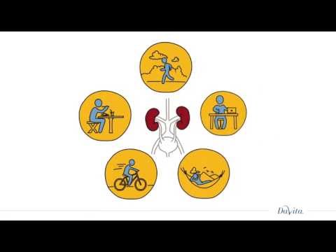 What are kidneys and how do they work?