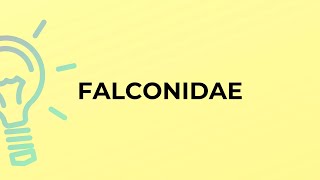 What Is The Meaning Of The Word Falconidae?