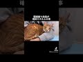 尿路疾患から8ヶ月‥ロイヤルカナンを食べて健康に過ごしています