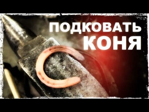 Галилео. Подковать коня